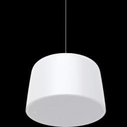 AXIS C1510 from AXIS COMMUNICATIONS - Network Pendant Speaker, mounted in the ceiling with a wire