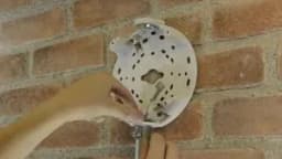 AXIS Q3615-VE from AXIS COMMUNICATIONS - dome IP camera - image 2